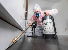 Best Fumigation Services  in Northfield, NJ